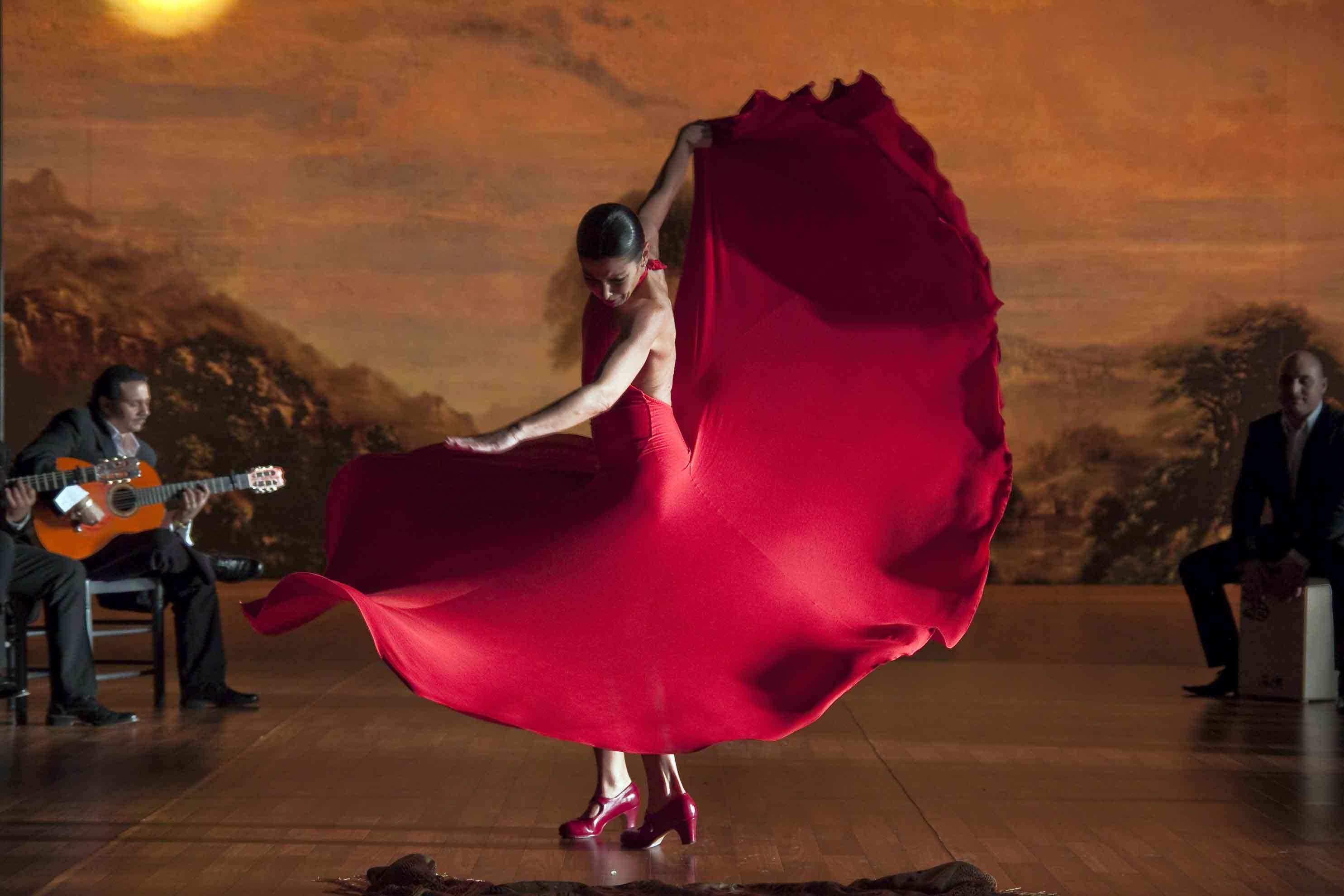 ミニシアターに行こう ミニシアターに行こう フラメンコ フラメンコ 本国スペインで 最高の芸術作品 と賞されるフラメンコ映画の決定版 超一流アーティスト達がセッションする魅惑と官能のステージ