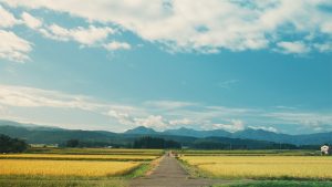 映画『書けないんじゃない、書かないんだ』場面写真